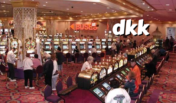 dkk banner
